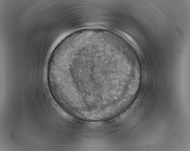 X0000112031196200908311209