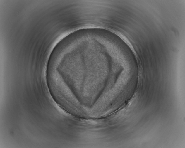 X0000112031197200908311209