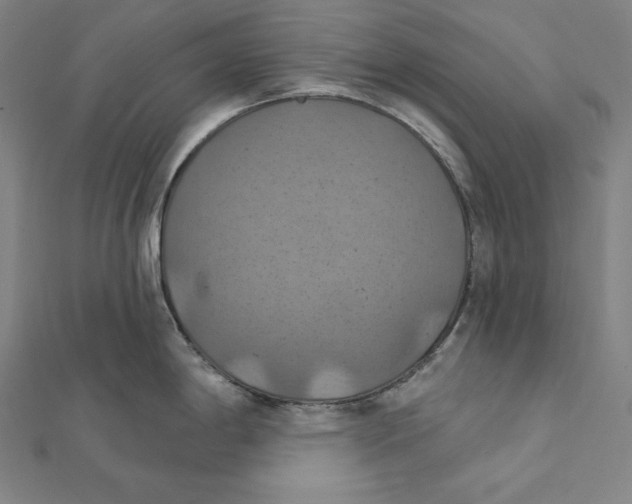 X0000112031198200908311209