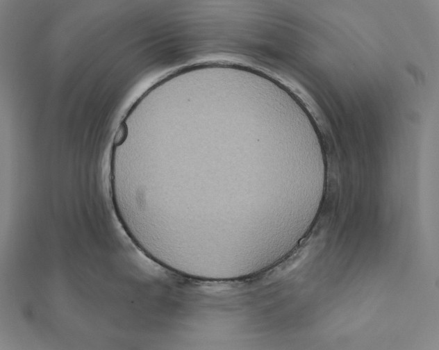 X0000112031199200908311209
