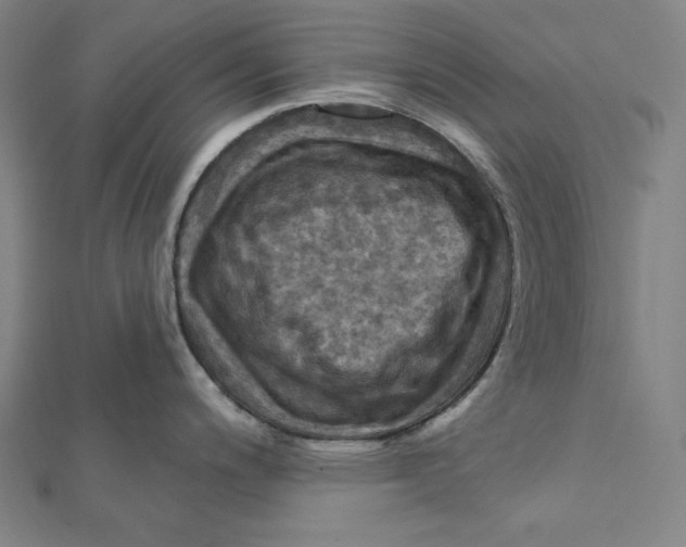X0000112031200200908311209
