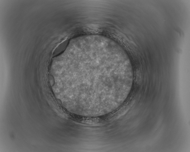 X0000112031201200908311208
