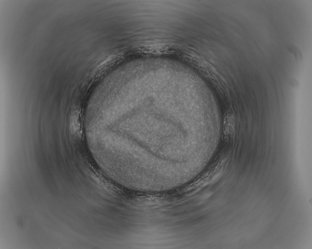 X0000112031202200908311208