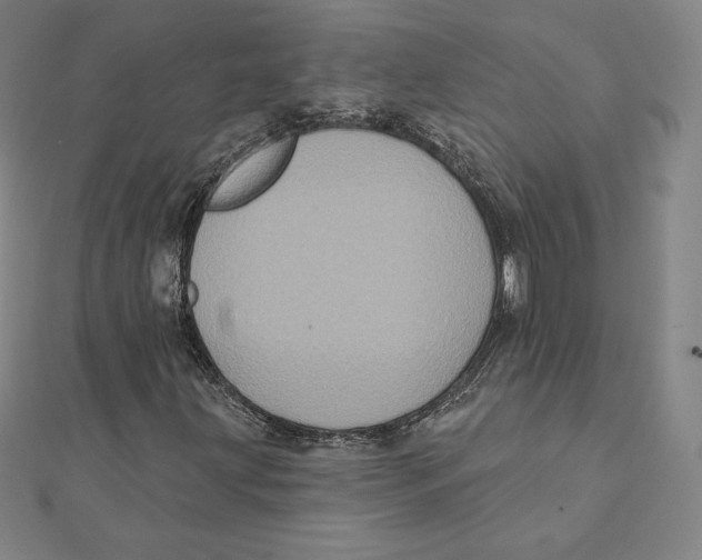 X0000112031203200908311208