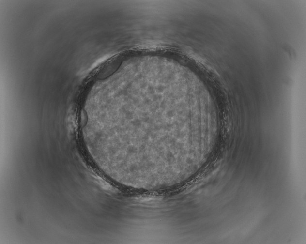 X0000112031206200908311208