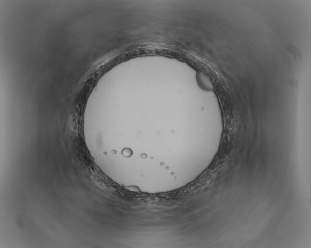 X0000112031207200908311208