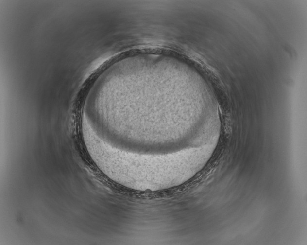 X0000112031208200908311208