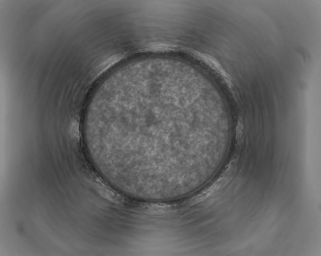 X0000112031209200908311208