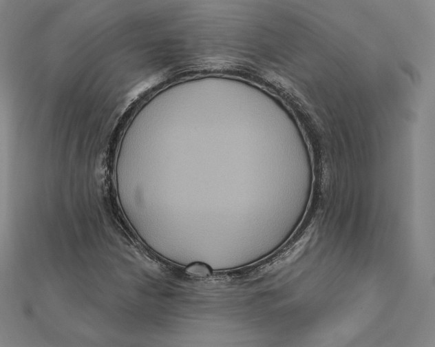 X0000112031210200908311208