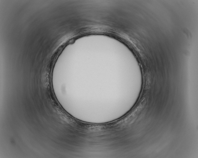 X0000112031211200908311208