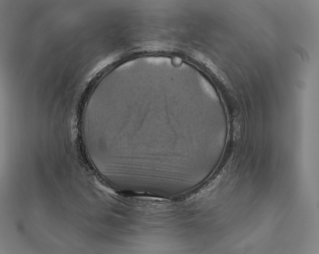 X0000112031213200908311208