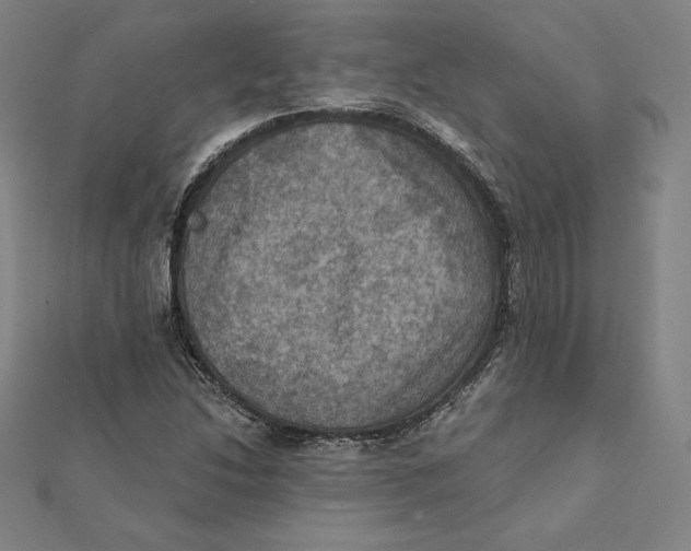 X0000112031214200908311208