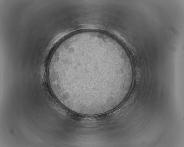 X0000112031215200908311208