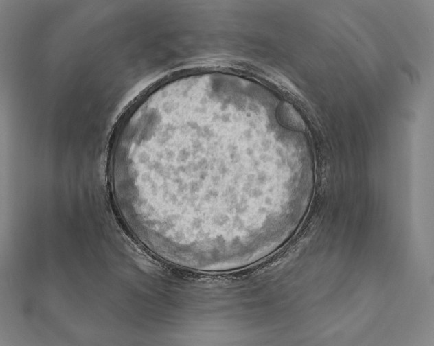 X0000112031216200908311208