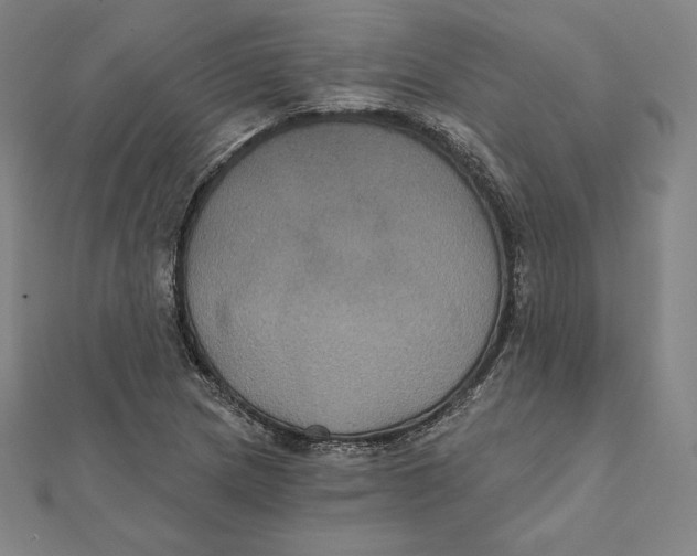 X0000112031217200908311208