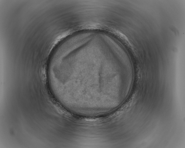 X0000112031218200908311208