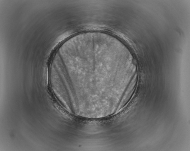 X0000112031219200908311208