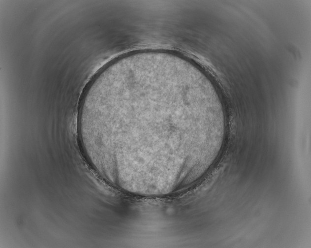 X0000112031220200908311208