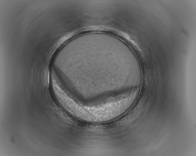 X0000112031221200908311208