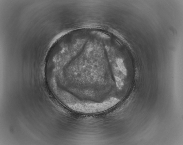 X0000112031222200908311208