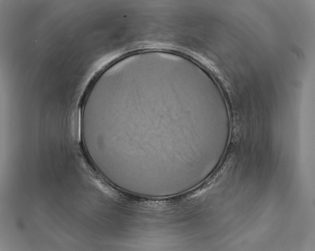 X0000112031223200908311208