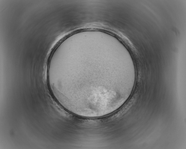 X0000112031224200908311208