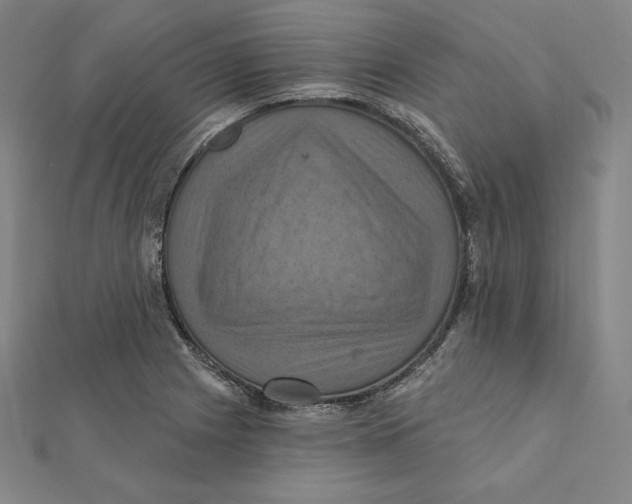X0000112031225200908311208