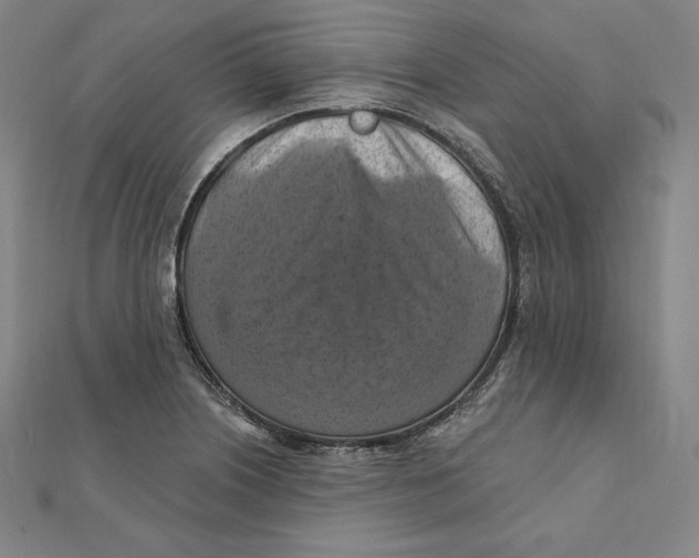 X0000112031226200908311208