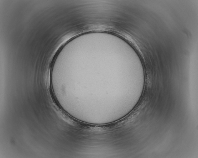 X0000112031227200908311208