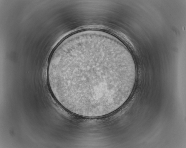 X0000112031228200908311208