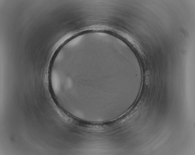 X0000112031229200908311208