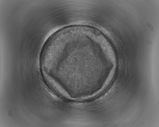 X0000112031230200908311209