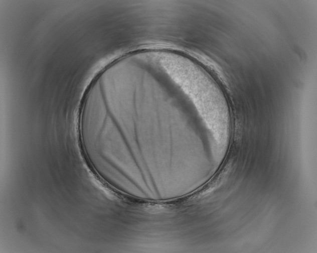 X0000112031231200908311209