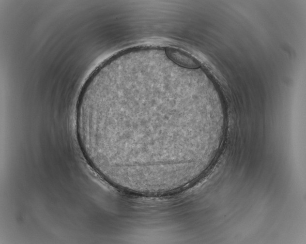 X0000112031232200908311209