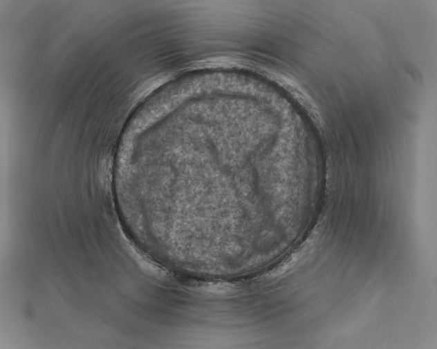X0000112031233200908311209
