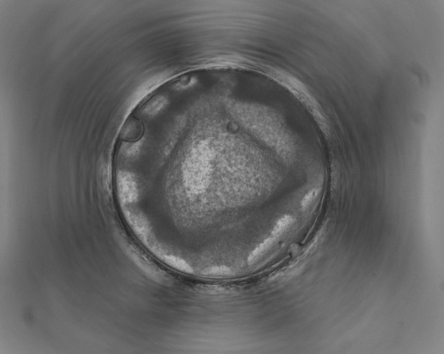 X0000112031234200908311209
