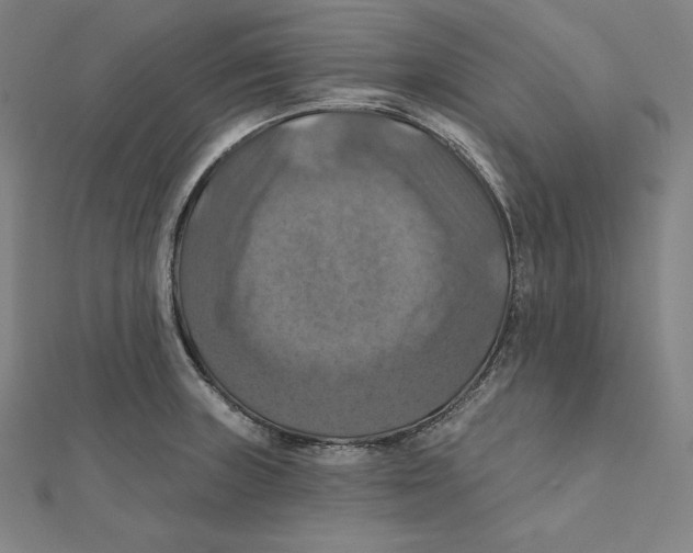 X0000112031235200908311209