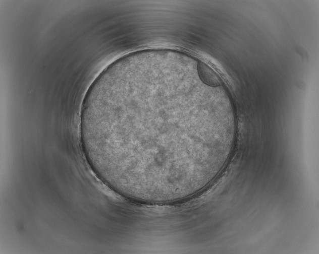 X0000112031236200908311209