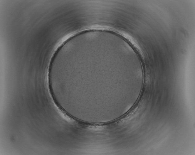 X0000112031237200908311209