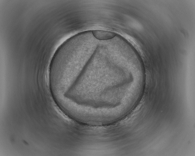 X0000112031238200908311209