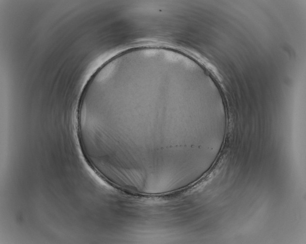 X0000112031239200908311209