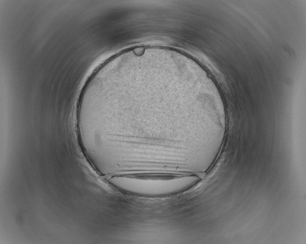 X0000112031240200908311209