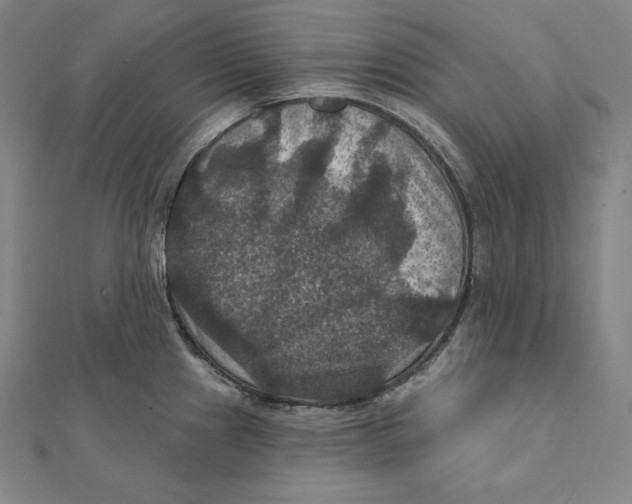 X0000112031241200908311209