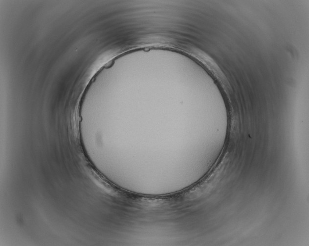 X0000112031242200908311209