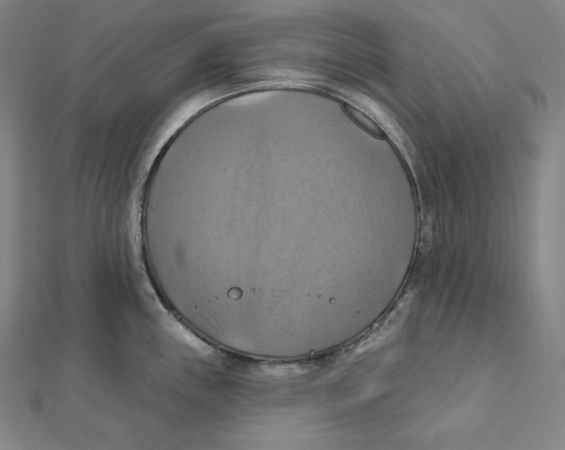 X0000112031243200908311209
