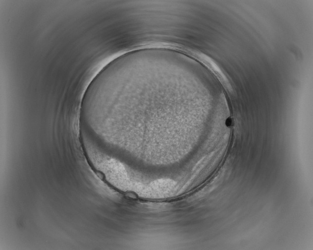 X0000112031244200908311209