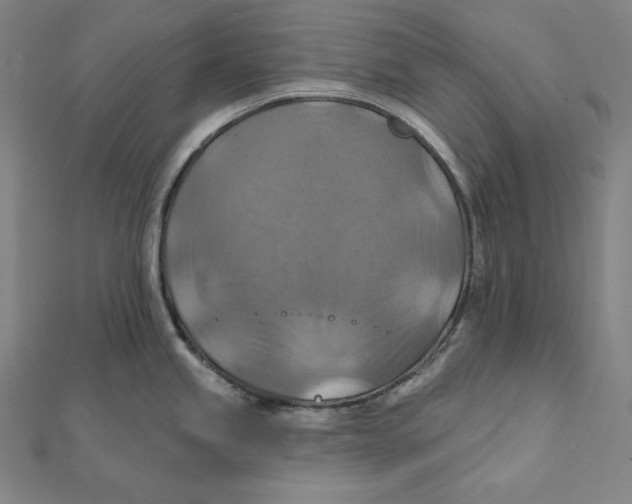 X0000112031245200908311209