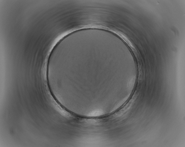 X0000112031246200908311209
