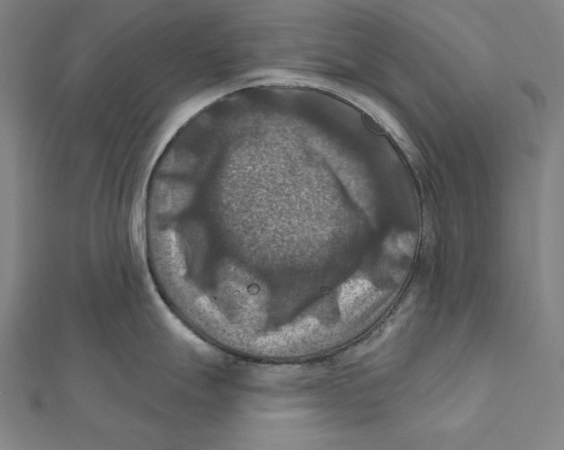 X0000112031247200908311209
