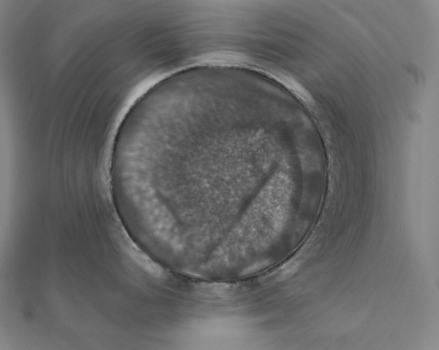 X0000112031248200908311209